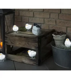 5 Oiseaux Lumineux A Led|Konstsmide, guirlandes lumineuses de Noël Best