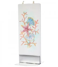 Bougie Déco Marine, Etoile De Mer Et Coquillages|Flatyz, bougie décorative scandinave Discount