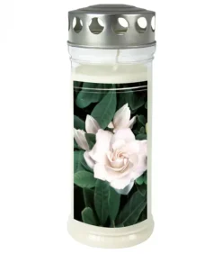 Bougie Funeraire Gardenia, 21,5 Cm|Ewa Kerzen, bougies de Noël et bougies de l'Avent New