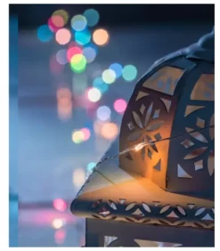 Guirlande Lumineuse Avec Changement De Couleur, 50 Diodes Led|Konstsmide, guirlandes lumineuses de Noël Outlet