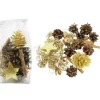 Pot Pourri Melange Pomme De Pin, Cannelle, Mousse, Déco, 100 G|Riffelmacher et Weinberger Hot