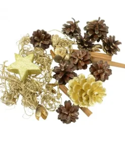 Pot Pourri Melange Pomme De Pin, Cannelle, Mousse, Déco, 100 G|Riffelmacher et Weinberger Hot