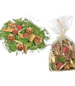 Pot Pourri Melange Pomme De Pin, Mousse, Foret, 80 G|Riffelmacher et Weinberger Hot