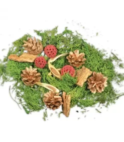 Pot Pourri Melange Pomme De Pin, Mousse, Foret, 80 G|Riffelmacher et Weinberger Hot